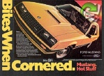 Mustang 1981 0.jpg